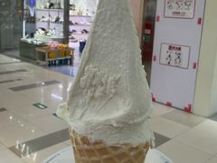 -野人先生Gelato(上海长宁龙之梦店)