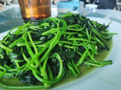 番薯叶-南沙十九涌渔人码头-南门