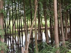 -捞渔河湿地公园