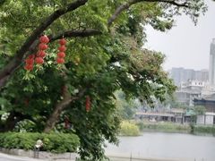 -荔湾湖公园