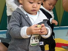 -亲亲袋鼠托育早教·思维专注力·棕熊英语(鼓楼恒力城店)