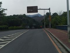 -天鹿湖森林公园
