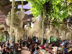 -The Grounds of Alexandria
