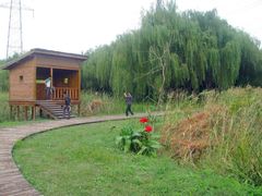 -昆山城市生态森林公园