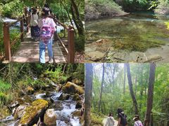 -叠溪松坪沟景区