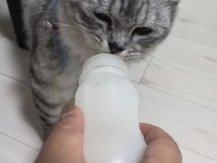 -香港威特瑞茶餐厅(小白楼音乐厅店)