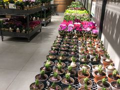 -鹿岛会员店 (龙湖三千集天街店)