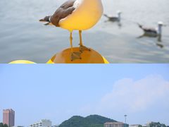 -大连老虎滩海洋公园