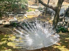 -泉州海丝野生动物世界