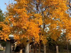 -北京园博大酒店