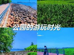 -上海吴淞炮台湾国家湿地公园