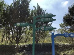 -昆山城市生态森林公园