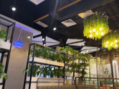 -四季合味椰子鸡(南山大冲店)