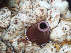 -香满楼(临安路店)