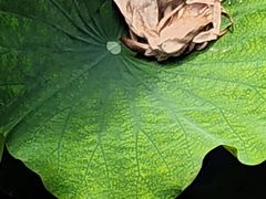 -西南交通大学(九里校区)