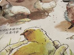 -麦当劳(朝阳北路店)