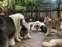 -TrueLove @ Neverland (Husky Cafe)
