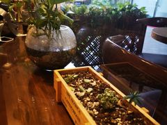 -黄小姐冰爽四果汤