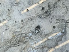 -红海滩国家风景廊道