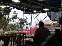 -桃源山庄·水蜜桃采摘·柴火鸡·烧烤团建(龙泉山店)