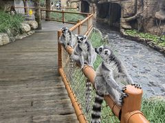 -北京野生动物园