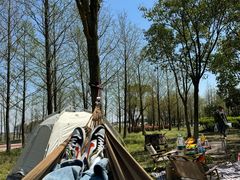 -春花秋色城市公园