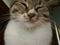 -山城年华老火锅(玉林店)