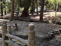 -奈良公园