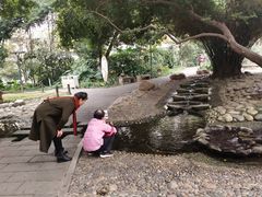 -成都市活水公园