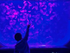 -沈阳海洋探索中心