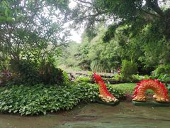 -海南热带野生动植物园