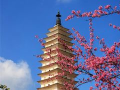 -崇圣寺三塔文化旅游区