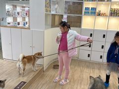 -李小姐の猫咖啡馆(五角场店)