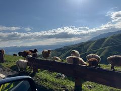 -新疆那拉提国家旅游度假区