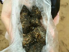 -叶氏麻糍(鼓浪屿店)