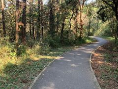 -青龙山国家森林公园
