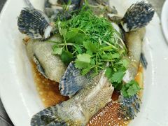 -师傅仔美食(东华老店)