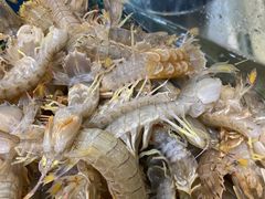 -港畔赶海蒸汽海鲜烧烤自助(仙螺岛店)