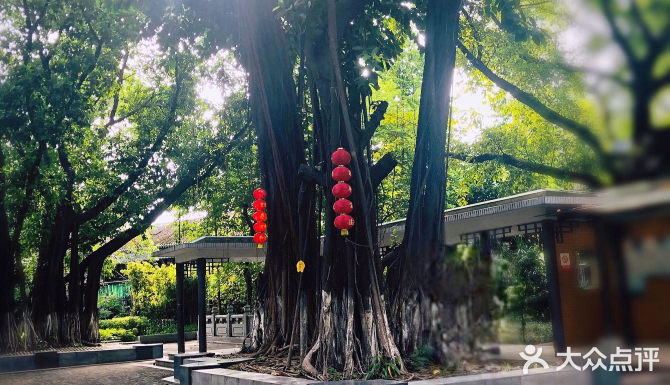 隐藏在老城区别致的小公园