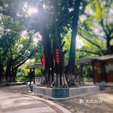 隐藏在老城区别致的小公园
