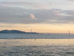 -深圳湾公园(南山区)