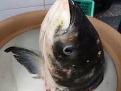 -天怡·鱼工厂(梅溪湖店)