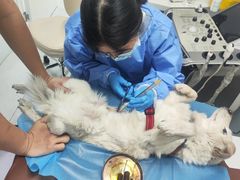 -达爱动物医院·犬猫分区·CT·复杂眼科(远洋山水分院)