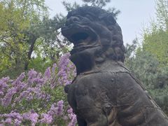-莲池书院博物馆
