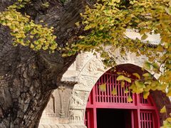 -北京石刻艺术博物馆(五塔寺)