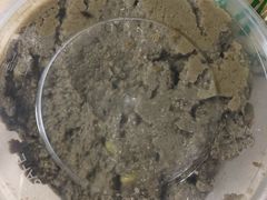 麻豆腐-老回回饺子馆(海洋馆店)