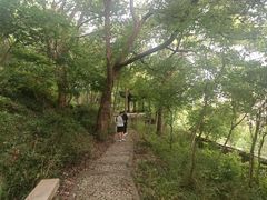 -灵岩山风景区
