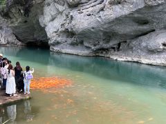 -楠溪江风景名胜区