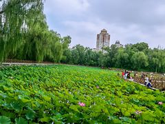 -迎泽公园