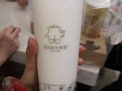 双蛋小皇椰（白屁屁）-茶力的小怪兽(梅林卓悦汇店)